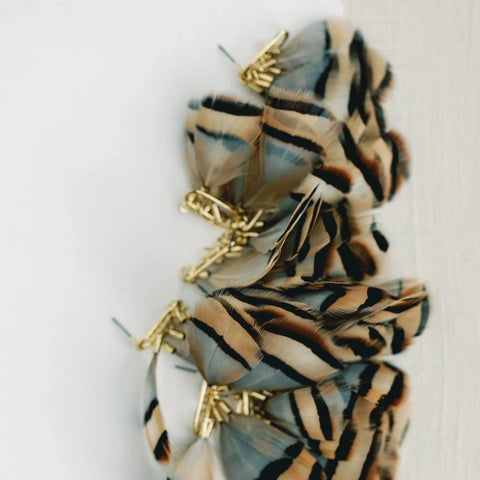 Brown Striped Feather Earrings