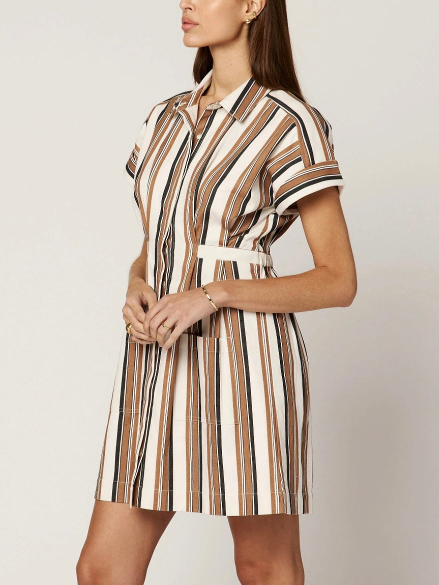 Sable Mini Dress