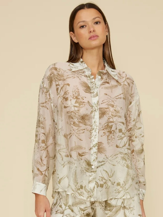 Cera Button Down