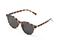 Daphne Tortoise Shell Sunglasses